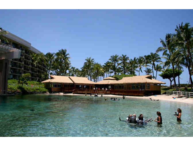 Dolphin Quest Hawaii VIP Program for Two