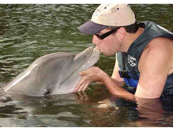 Dolphin Quest Hawaii VIP Program for Two
