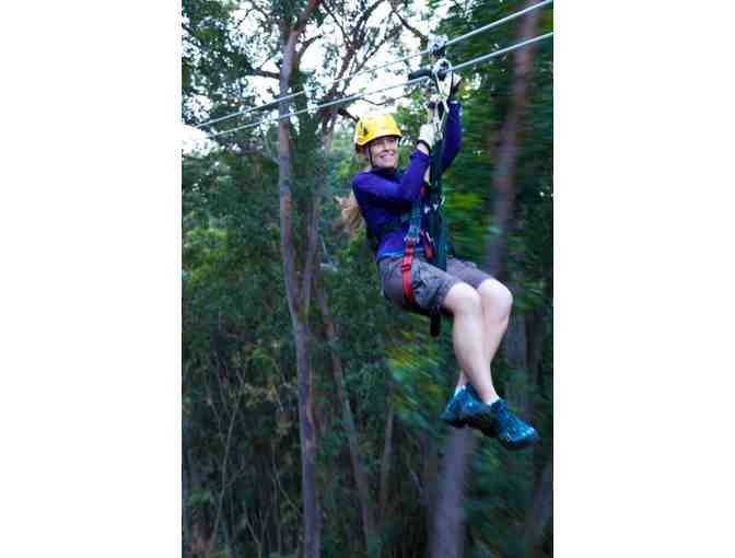 Kohala Zipline - Kohala Canopy Adventure for 4