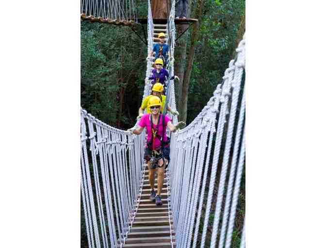 Kohala Zipline - Kohala Canopy Adventure for 4
