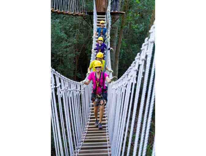 Kohala Zipline -  Kohala Canopy Adventure for 4