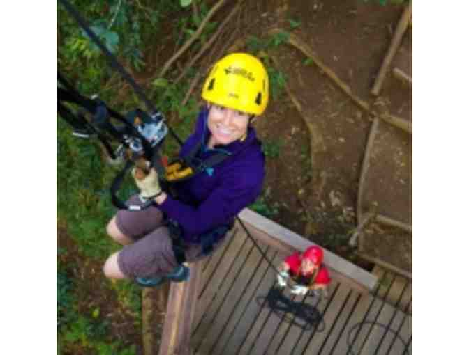 Kohala Zipline - Kohala Canopy Adventure for 4