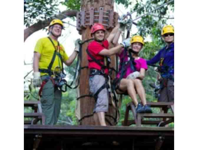 Kohala Zipline - Kohala Canopy Adventure for 4