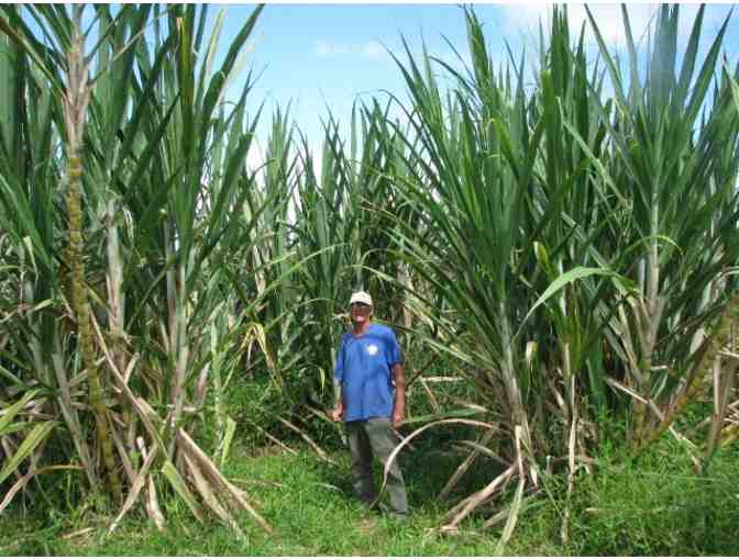 Two $25 gift certificates for Sweet Cane Cafe in Hilo
