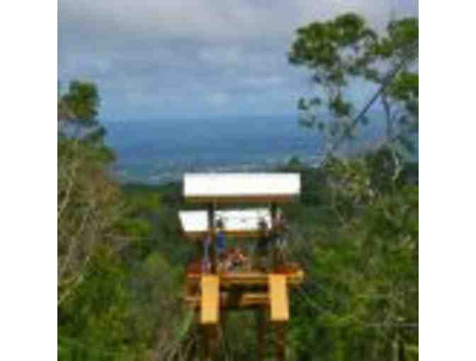 Zippin' Volcano Kona for 2