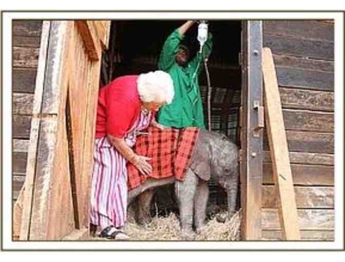 Be the Proud Parent of a Baby Orphan Elephant in Africa