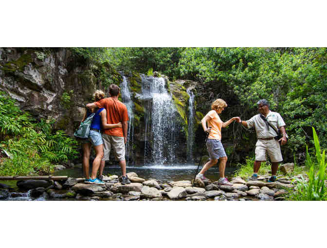 Kohala Waterfalls Adventure for Two (2)