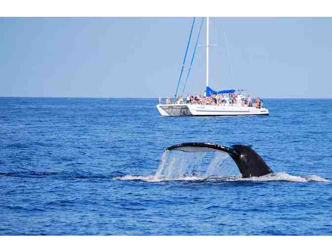 Ocean Sports Signature Whale Watch for Two (2)