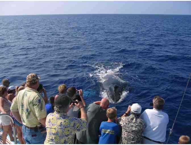 Ocean Sports Signature Whale Watch for Two (2)