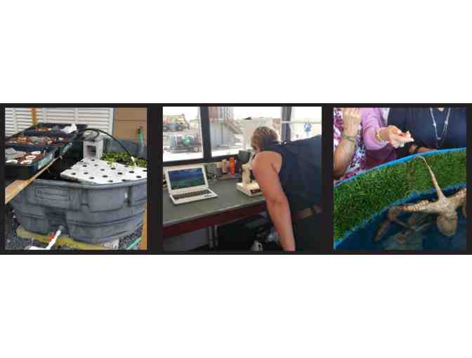 NELHA Inspiring Innovation Tour for Four People