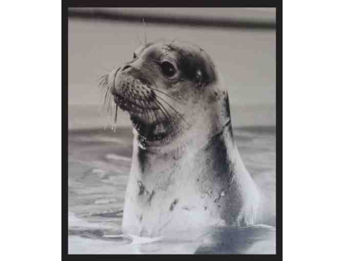 NELHA Ocean Conservation Tour for Four People