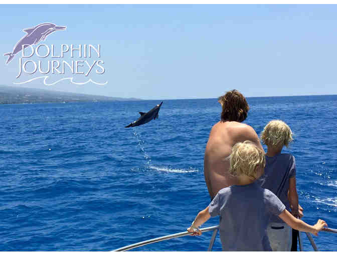 Dolphin Journeys: Swim with Dolphins Excursion for 1 person