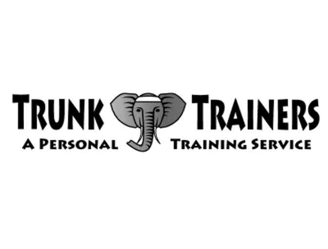 Trunk Trainers: 1 Year Membership and Personal Training Session