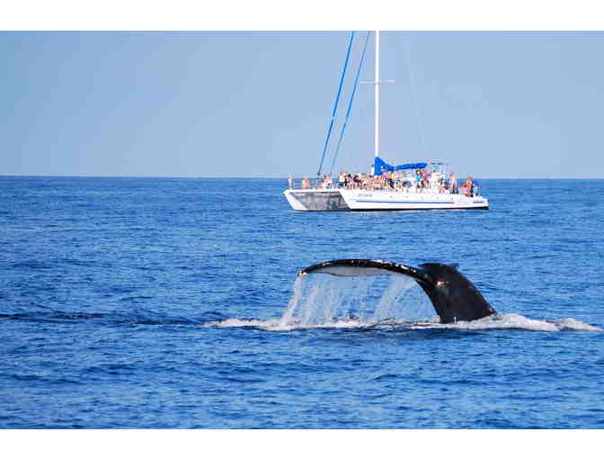 Whale Watch Cruise for 2 at Ocean Sports