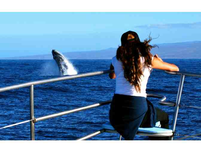 Whale Watch Cruise for 2 at Ocean Sports