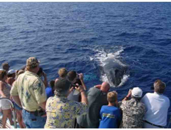 Whale Watch Cruise for 2 at Ocean Sports