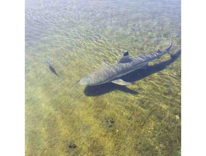Certificate for One Classroom (25 People) Friends of NELHA Tour