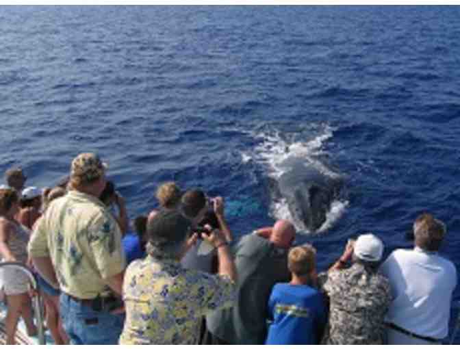 Guaranteed Morning Whale Watch Cruise for 2 at Ocean Sports