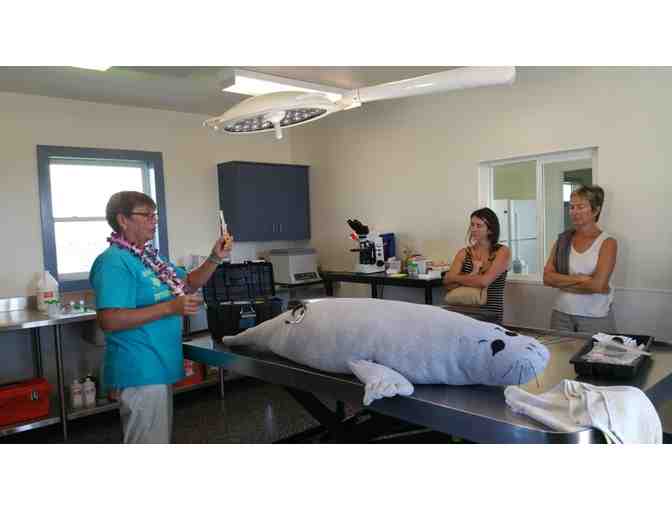 Certificate for Four (4) People on Any Keahole Center (Formerly Friends of NELHA) Tour