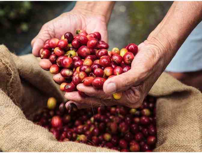 RoastMaster Coffee Tour for 6 Guests from Mountain Thunder Coffee Roasters