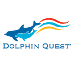Dolphin Quest Hawaii