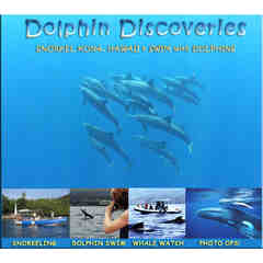 Dolphin Discoveries