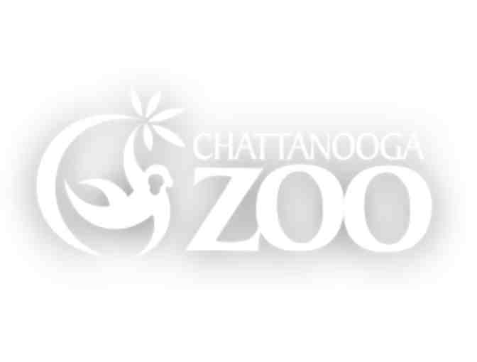 Creative Discover Museum & Chattanooga Zoo
