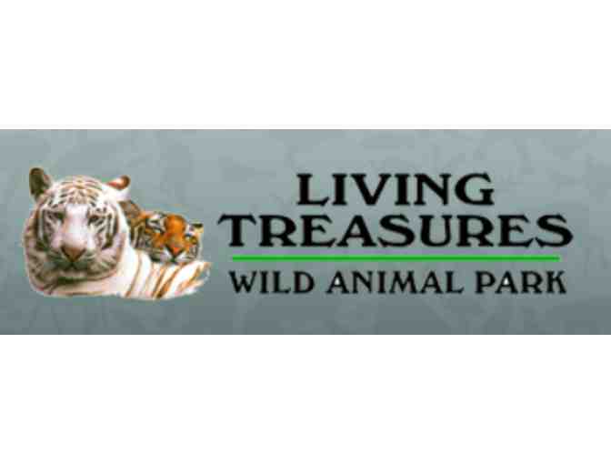 Family Explorers Pack