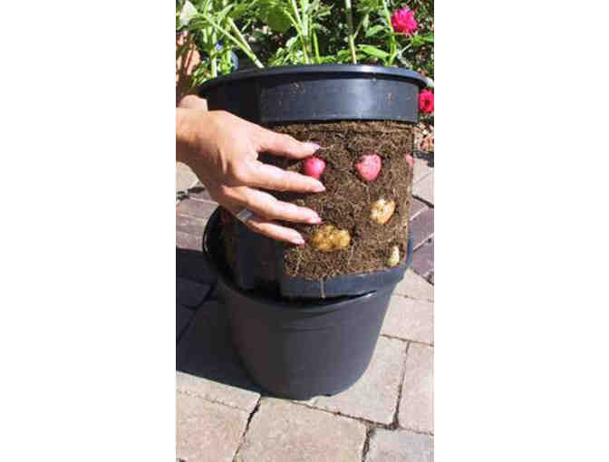 Green Pinkies Urban Planters: Felt wall planters or potato pots (winner chooses any 3)