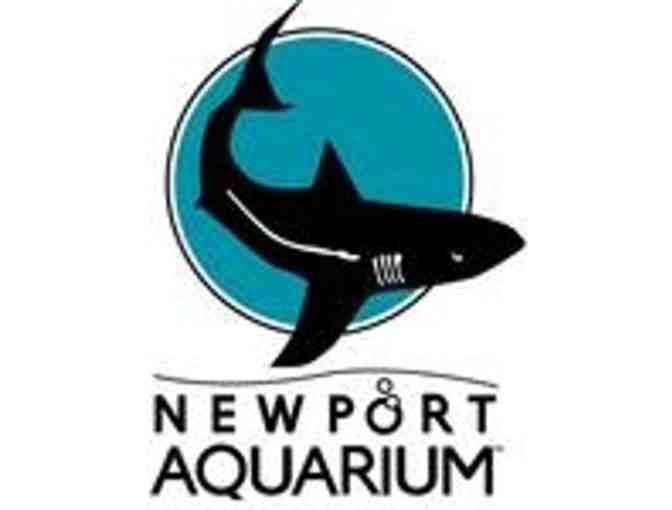 Newport Aquarium + Dewey's Pizza