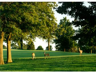 Hillcrest Country Club 1-year Membership!