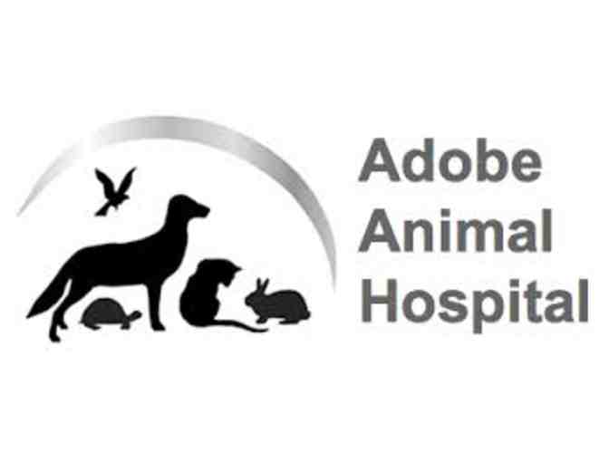 $100 Gift Certificate to Adobe Animal Hospital - Photo 1
