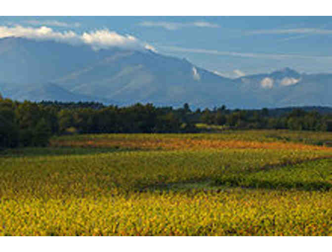 Guided Wine Tour & Tasting in Willamette Valley