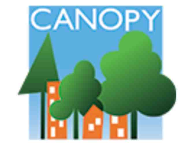 Canopy Tree Lesson