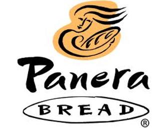 Tom's Bicycles & Panera, then 10 GYM