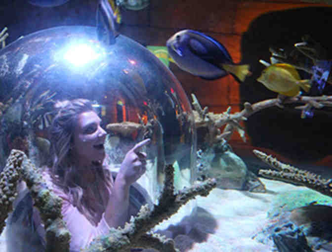 Margaritaville-SEA LIFE Minnesota Aquarium Package