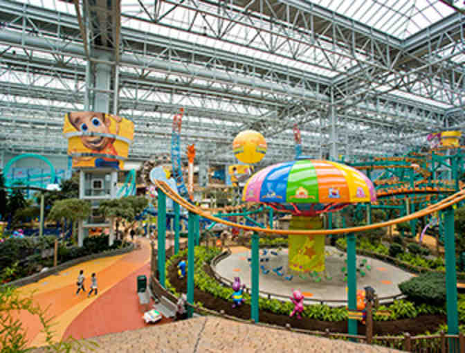 Mall of America Gift Bag and Attraction Passes