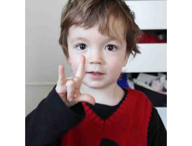 Baby Sign Language Introductory Workshop & One Playgroup Series