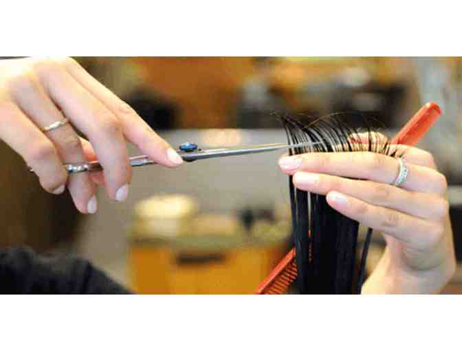 Cut and Color at Salon Kiklo