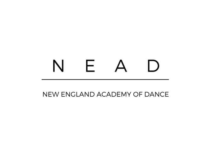 Semester of Ballet Instruction at the New England Academy of Dance