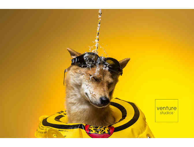 Venture Photography Pet Package
