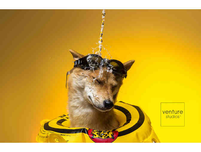 Venture Photography Pet Package