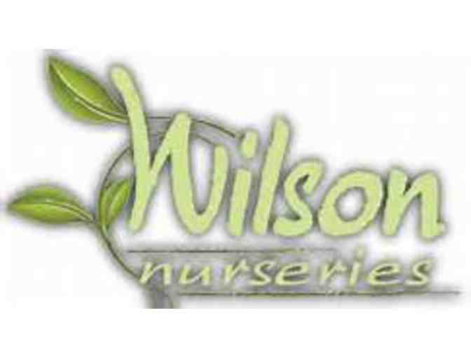 Flower Basket and Gift Card from Wilson Nurseries