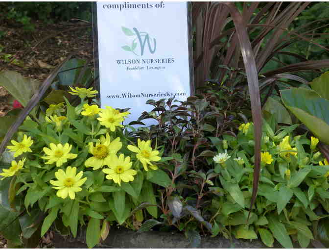 Garden Package - Planter and Gift Cards!