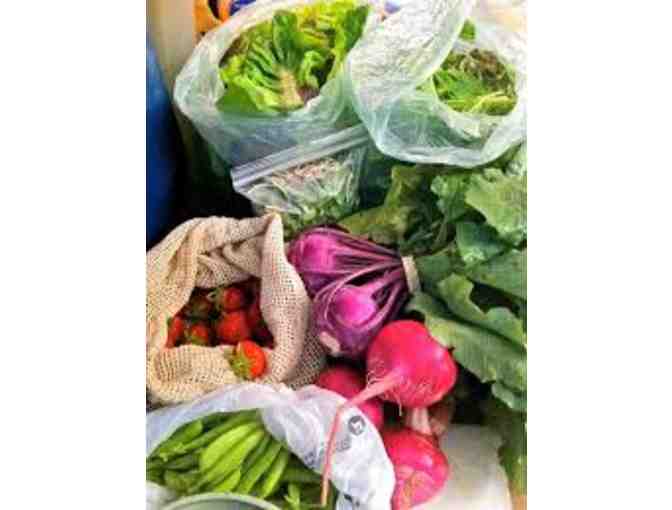 4 weeks vegetable share from Indian Line Farm