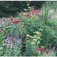 Brigitte Charbonneau