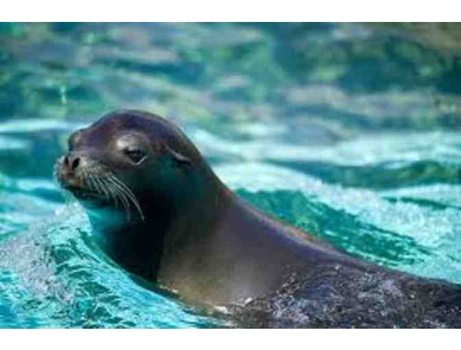 Spirit Cruises: two 1 hour harbor bay cruise passes