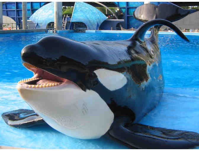 Sea World: 4 single day tickets