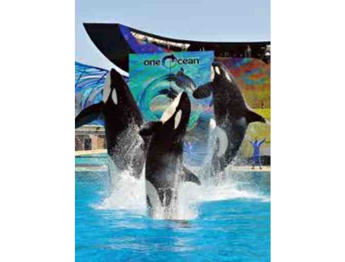 Sea World: 4 single day tickets