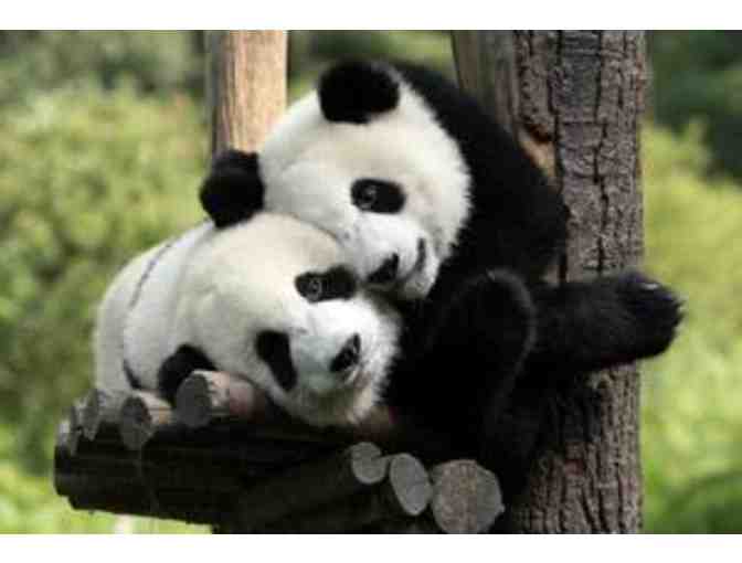 San Diego Zoo: 2 tickets